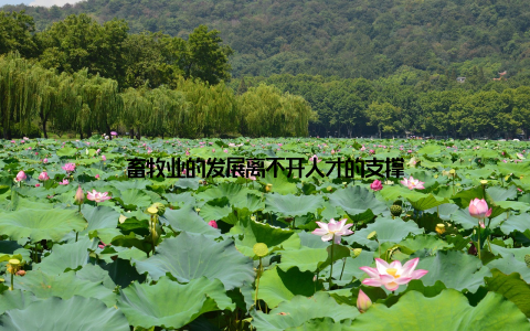 畜牧业的发展离不开人才的支撑