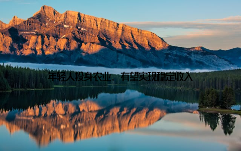 年轻人投身农业, 有望实现稳定收入