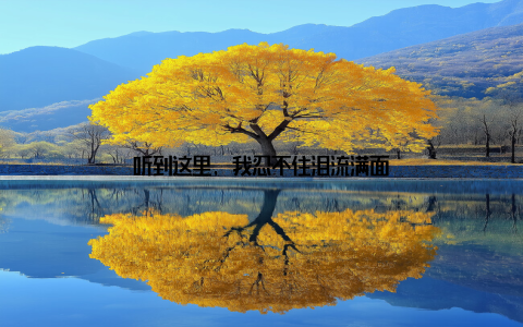 听到这里, 我忍不住泪流满面