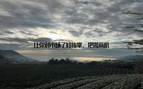 让你对市场了如指掌, 把握商机