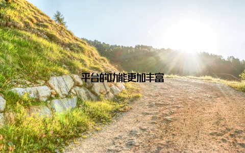 平台的功能更加丰富