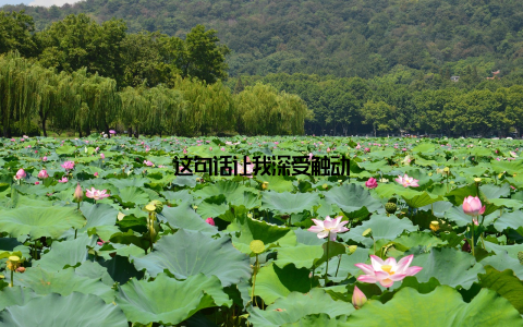 这句话让我深受触动