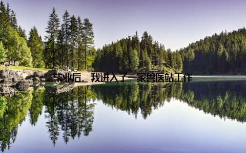 毕业后, 我进入了一家兽医站工作