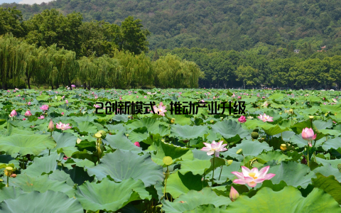 2创新模式, 推动产业升级