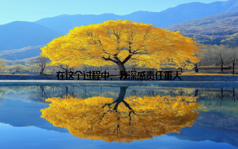 在这个过程中, 我深感责任重大