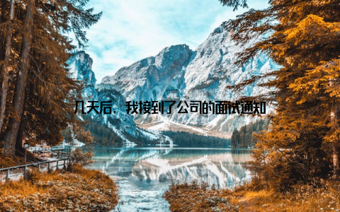 几天后, 我接到了公司的面试通知