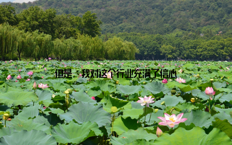 但是, 我对这个行业充满了信心