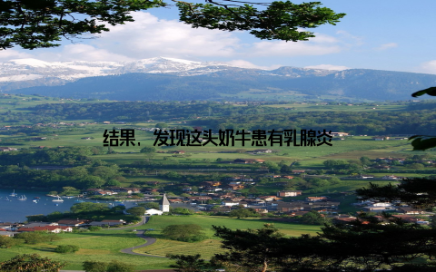 结果, 发现这头奶牛患有乳腺炎