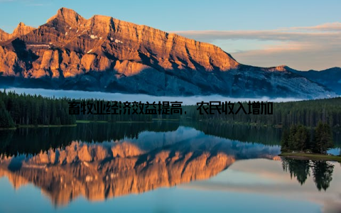 畜牧业经济效益提高, 农民收入增加