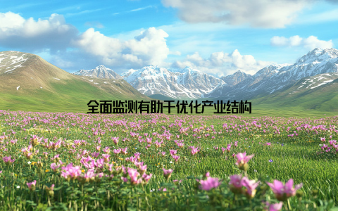 全面监测有助于优化产业结构