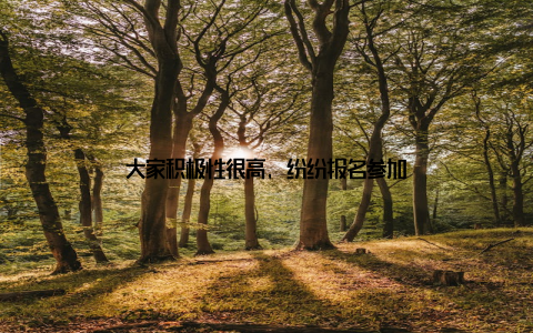 大家积极性很高, 纷纷报名参加