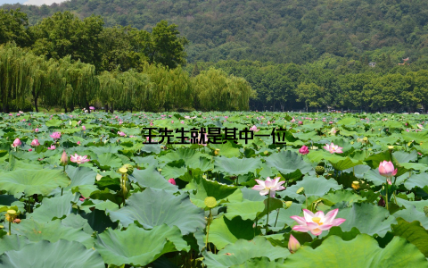 王先生就是其中一位