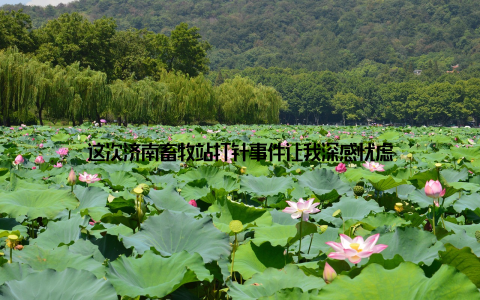 这次济南畜牧站打针事件让我深感忧虑