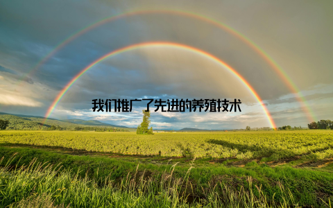 我们推广了先进的养殖技术