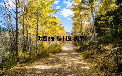 我要说的是市场的繁荣