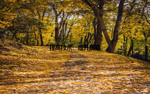 提高技术, 提升质量