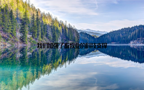 我们加强了畜牧业的科技支撑