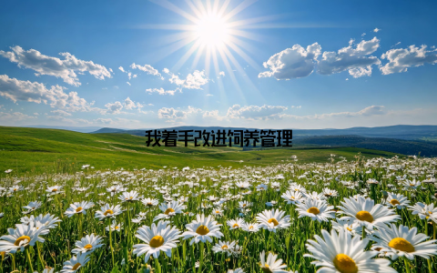 我着手改进饲养管理