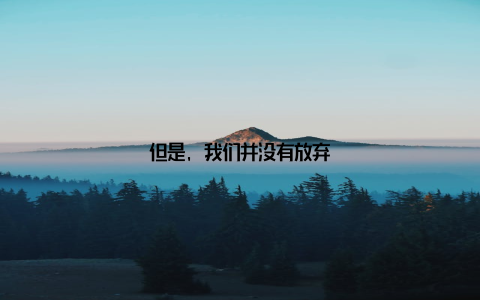 但是, 我们并没有放弃