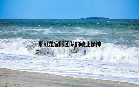 那就是客服团队的敬业精神