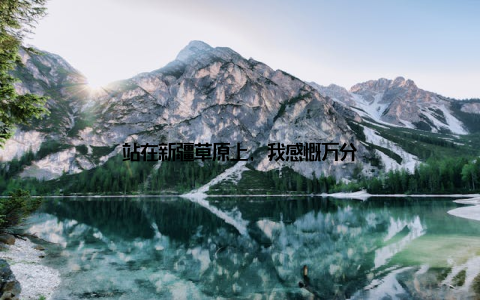 站在新疆草原上, 我感慨万分