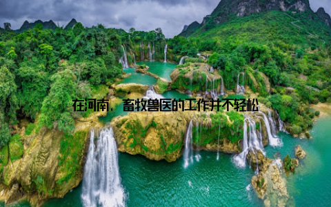 在河南, 畜牧兽医的工作并不轻松