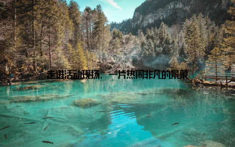 走进活动现场, 一片热闹非凡的景象