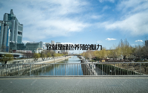 这就是绿色养殖的魅力