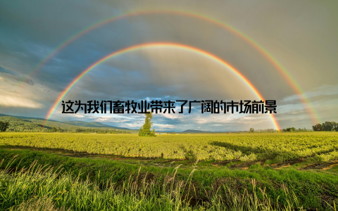 这为我们畜牧业带来了广阔的市场前景