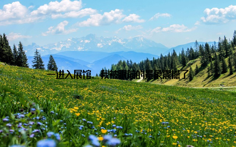 一进入展馆, 我被眼前的景象震撼了