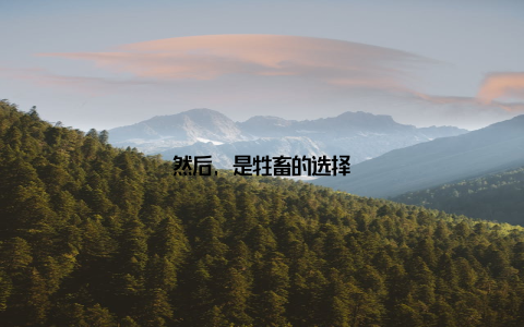 然后, 是牲畜的选择