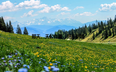 那天, 天公作美, 阳光明媚