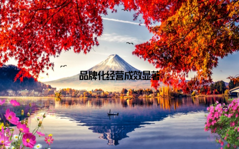 品牌化经营成效显著