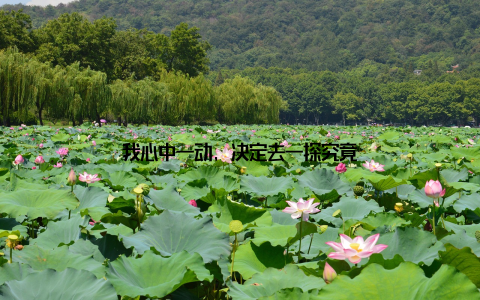 我心中一动, 决定去一探究竟