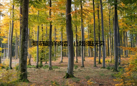 那浓郁的羊肉香, 让我回味无穷