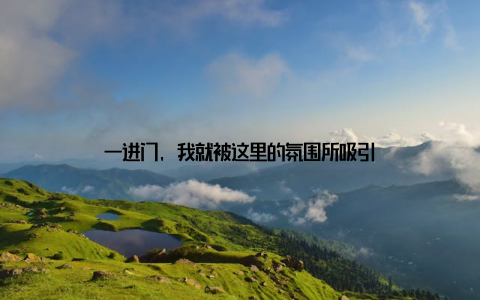 一进门, 我就被这里的氛围所吸引