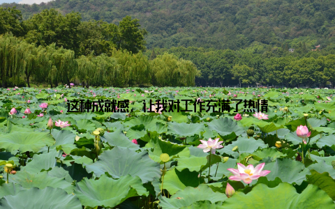 这种成就感, 让我对工作充满了热情