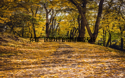 你看, 这是我们的智能监控系统