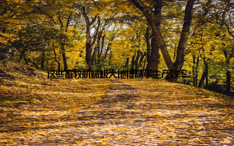 这些畜牧机械极大地提高了生产效率