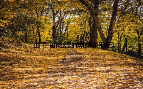 一进门, 就被这里的繁忙景象所吸引