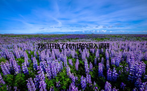 我们开始了对市场的深入调研