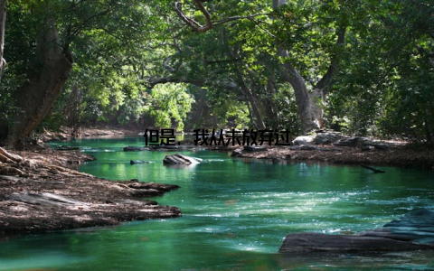 但是, 我从未放弃过