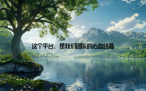 这个平台, 是我们团队的心血结晶