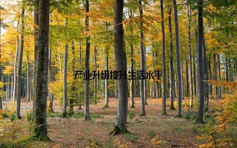 产业升级提升生活水平