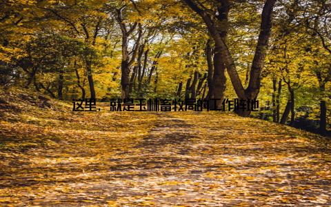 这里, 就是玉林畜牧局的工作阵地