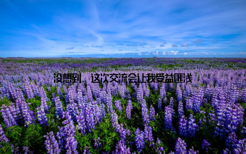 没想到, 这次交流会让我受益匪浅