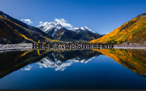 我要感谢这次盛会给我带来的收获