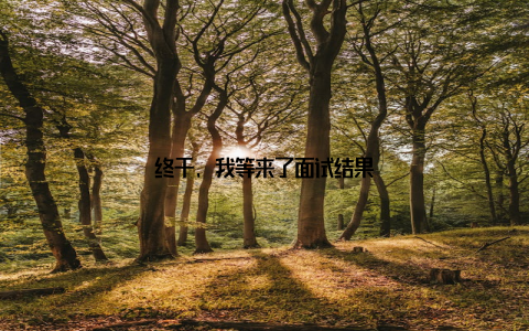 终于, 我等来了面试结果