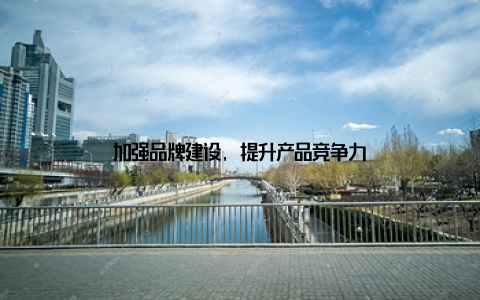 加强品牌建设, 提升产品竞争力