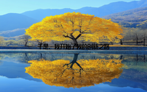 于是, 我开始了我的创新之路